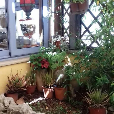 L'attico Incantato - A San Pietro - Casa vacanze Roma